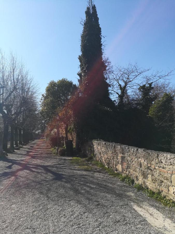 Apartament La Terrazza Chiusi Zewnętrze zdjęcie